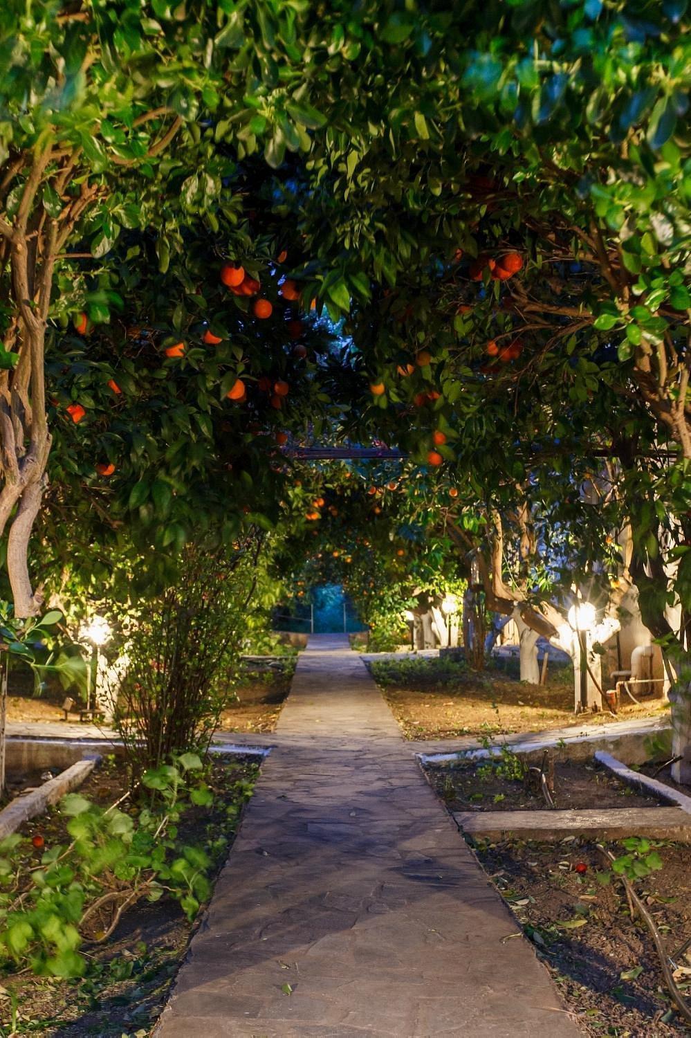 Cottonclub Villas โตโล ภายนอก รูปภาพ