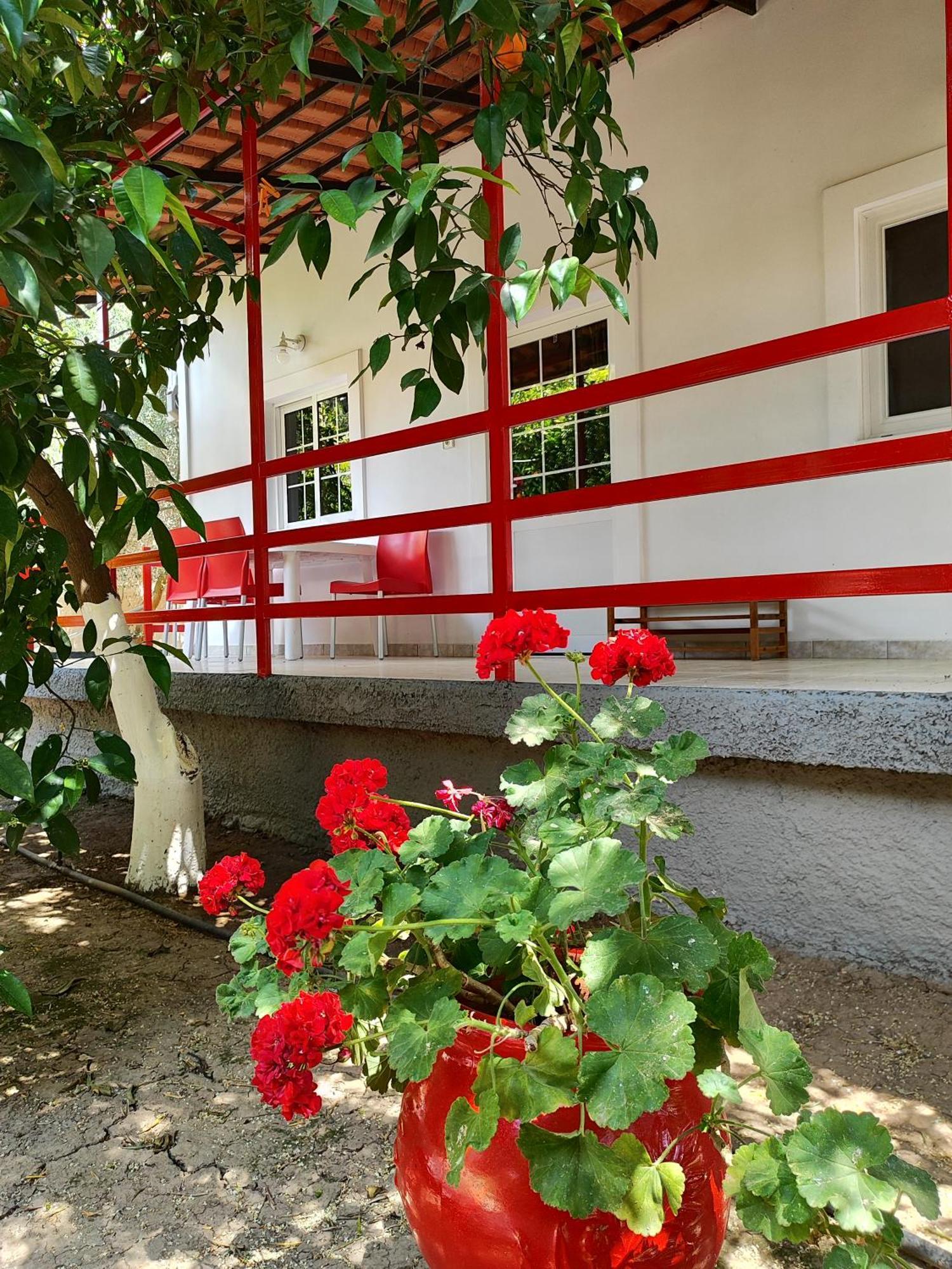 Cottonclub Villas โตโล ภายนอก รูปภาพ