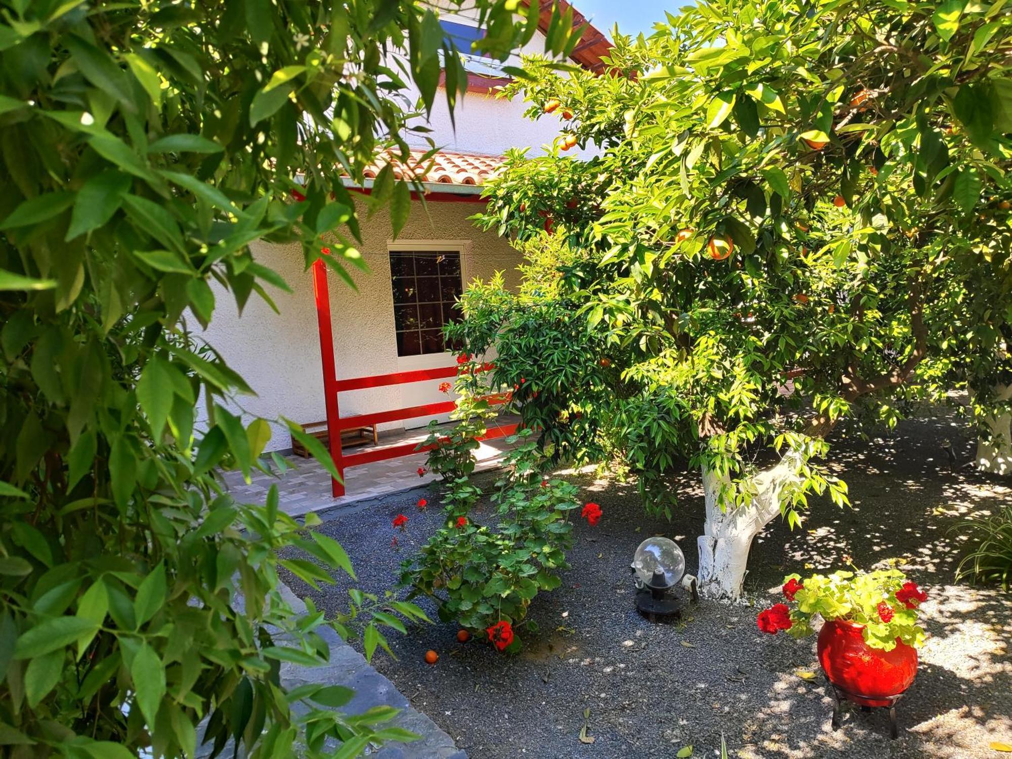 Cottonclub Villas โตโล ภายนอก รูปภาพ