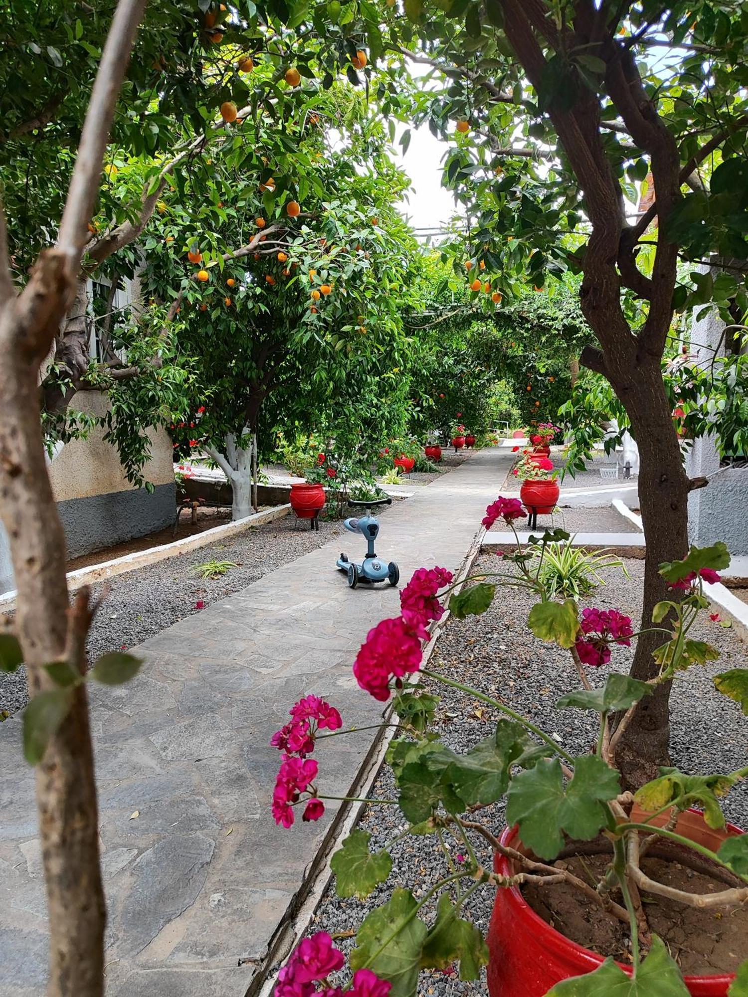 Cottonclub Villas โตโล ภายนอก รูปภาพ