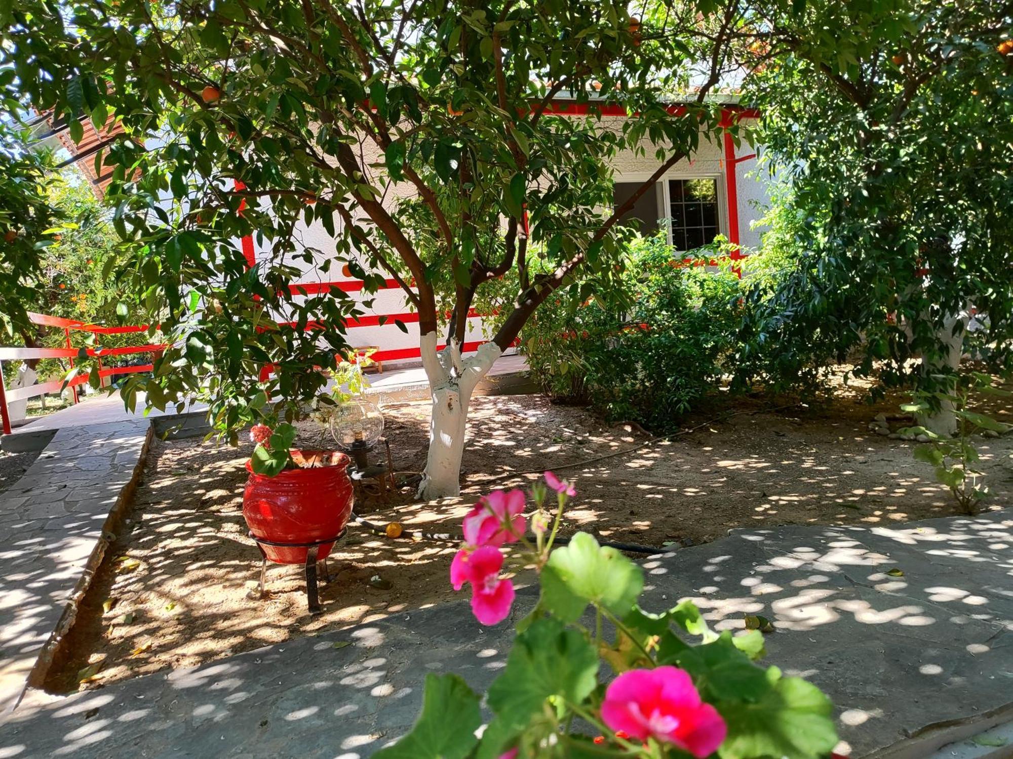 Cottonclub Villas โตโล ภายนอก รูปภาพ