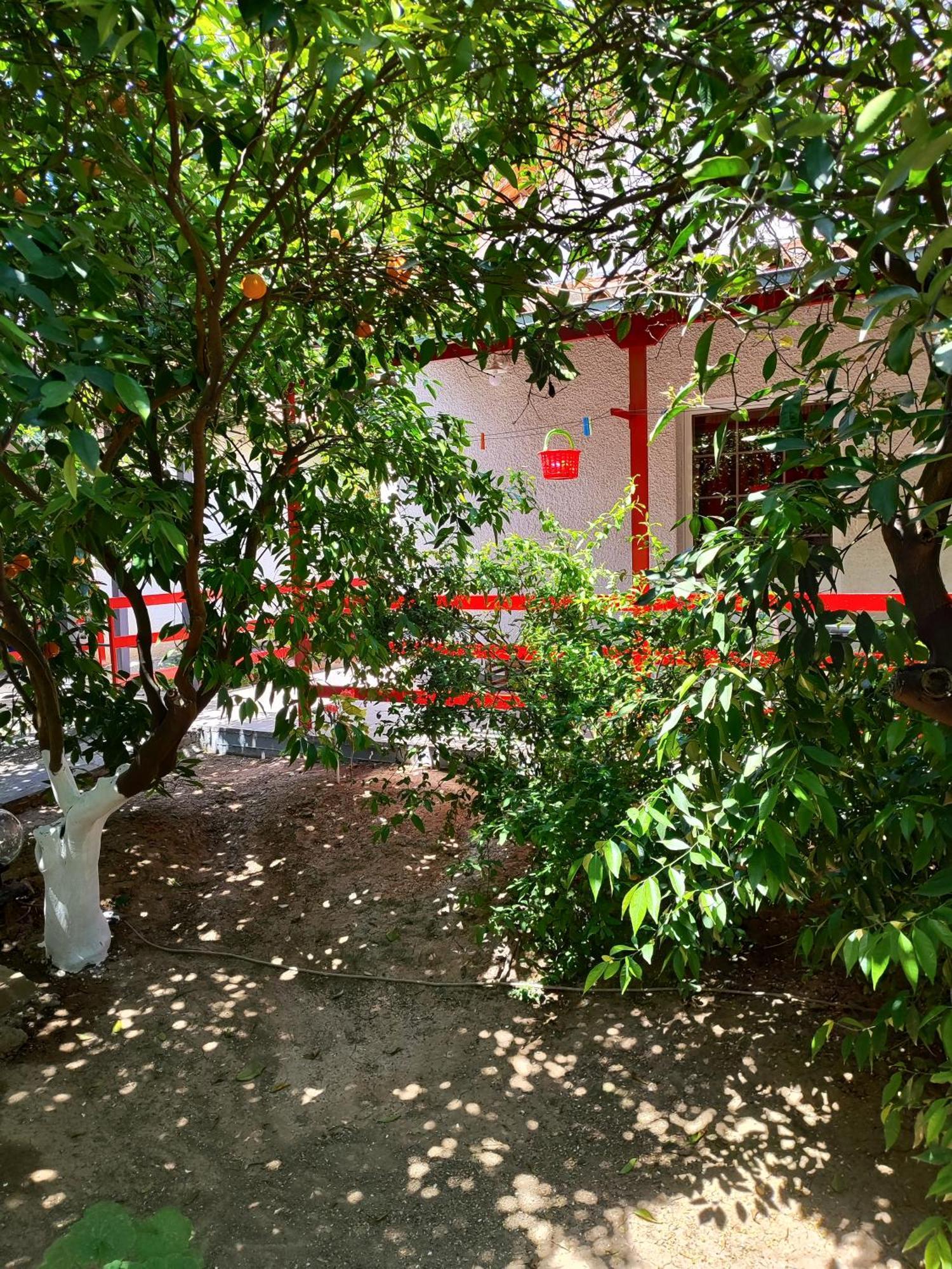 Cottonclub Villas โตโล ภายนอก รูปภาพ