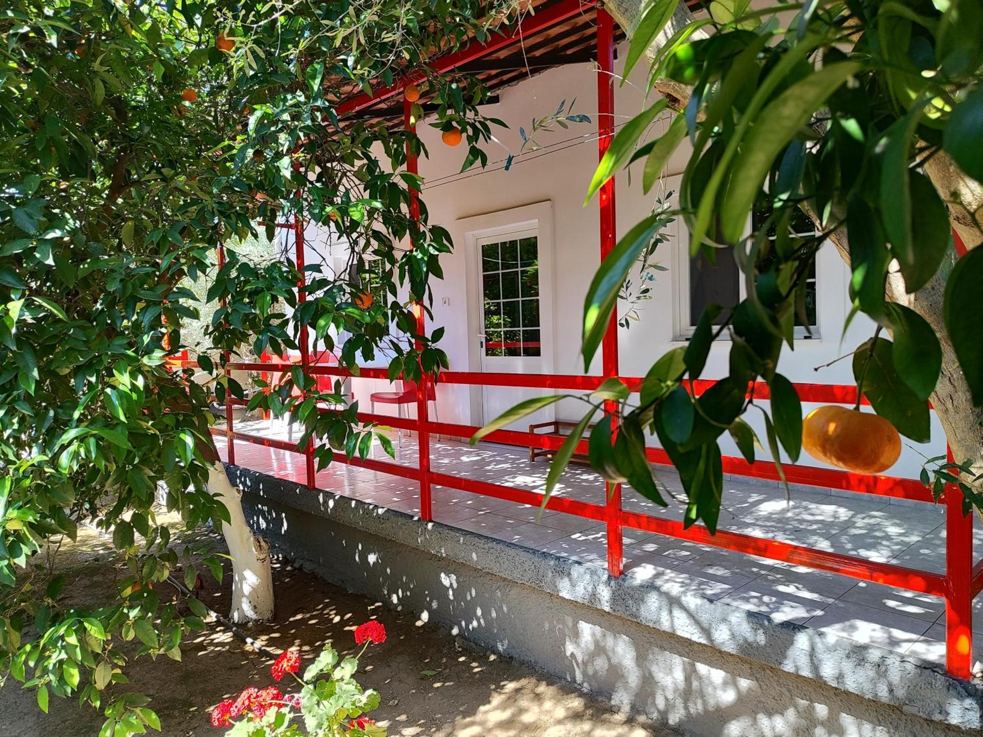 Cottonclub Villas โตโล ภายนอก รูปภาพ